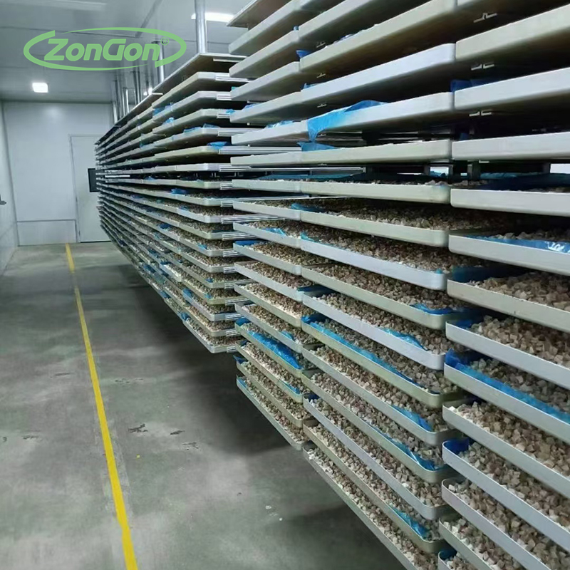 湖南湘西獼猴桃永州柑橘真空凍干設(shè)備 整機304不銹鋼 符合出口標準